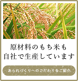 原材料のもち米も自社で生産しています