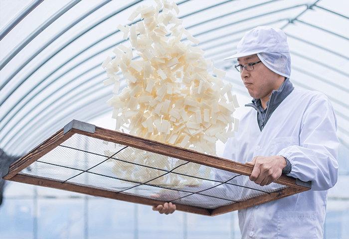 highest quality ingredients and recipes